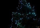 Foto (83) : Vánoční strom - Doubravy 28.11.2015